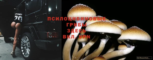 2c-b Гусиноозёрск