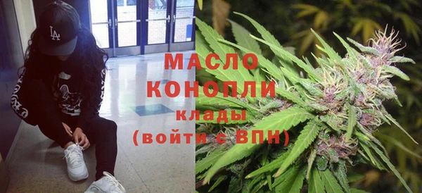 амф Горняк