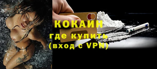 амф Горняк