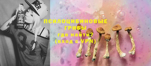 амф Горняк