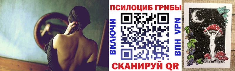 Купить где  Заринск  Псилоцибиновые грибы GOLDEN TEACHER 