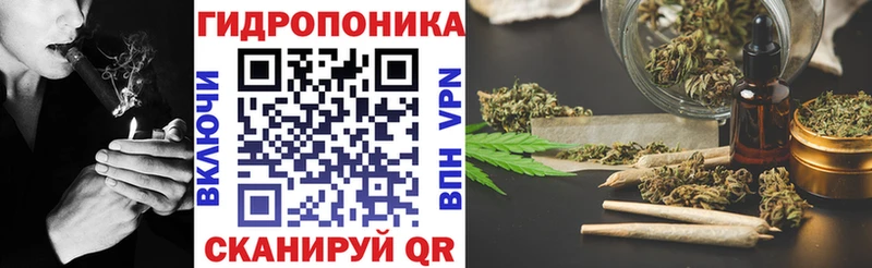 Купить закладки  Заринск  Канабис конопля 